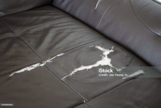 how to preserve your sofa